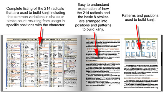 THE STRUCTURE OF KANJI